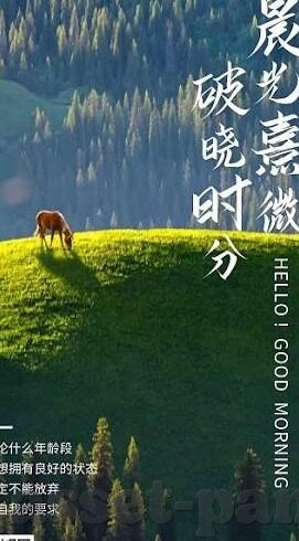 九妖手游平台下载-探索九妖手游平台下载的奇妙之旅
